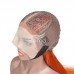 Stema Ginger #350 T Part Lace Straight Wig